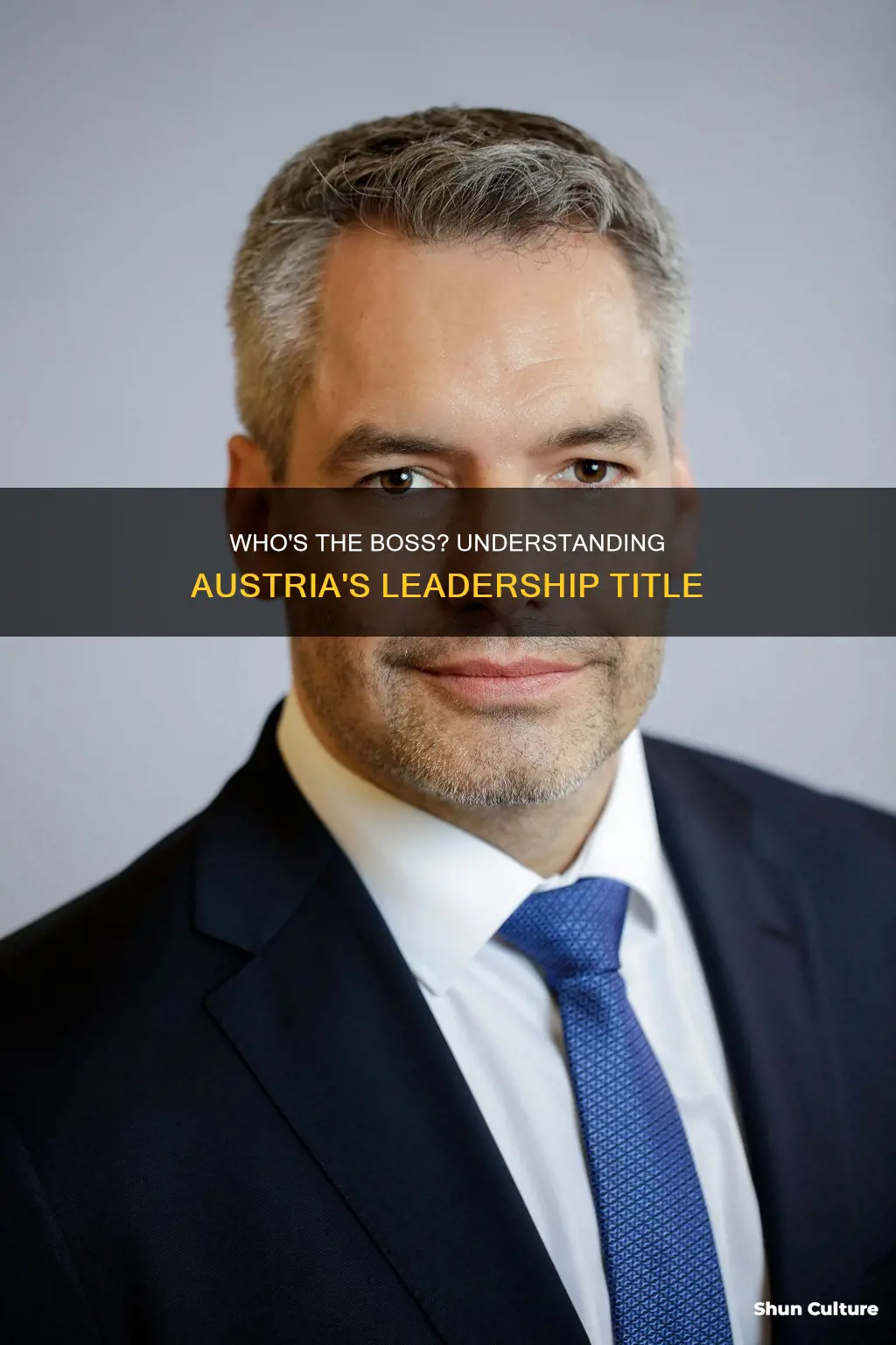 what do you call the leader of austria