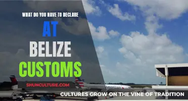 Belize Customs: What to Declare and Why