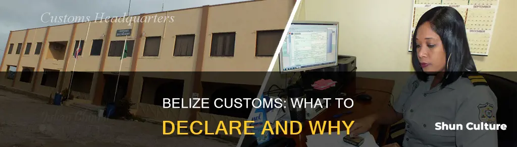 what do you have to declare at belize customs