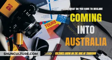 Customs Declarations: What to Declare When Arriving in Australia