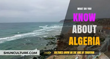 Exploring Algeria's Rich Culture, History, and Vibrant Modern Life