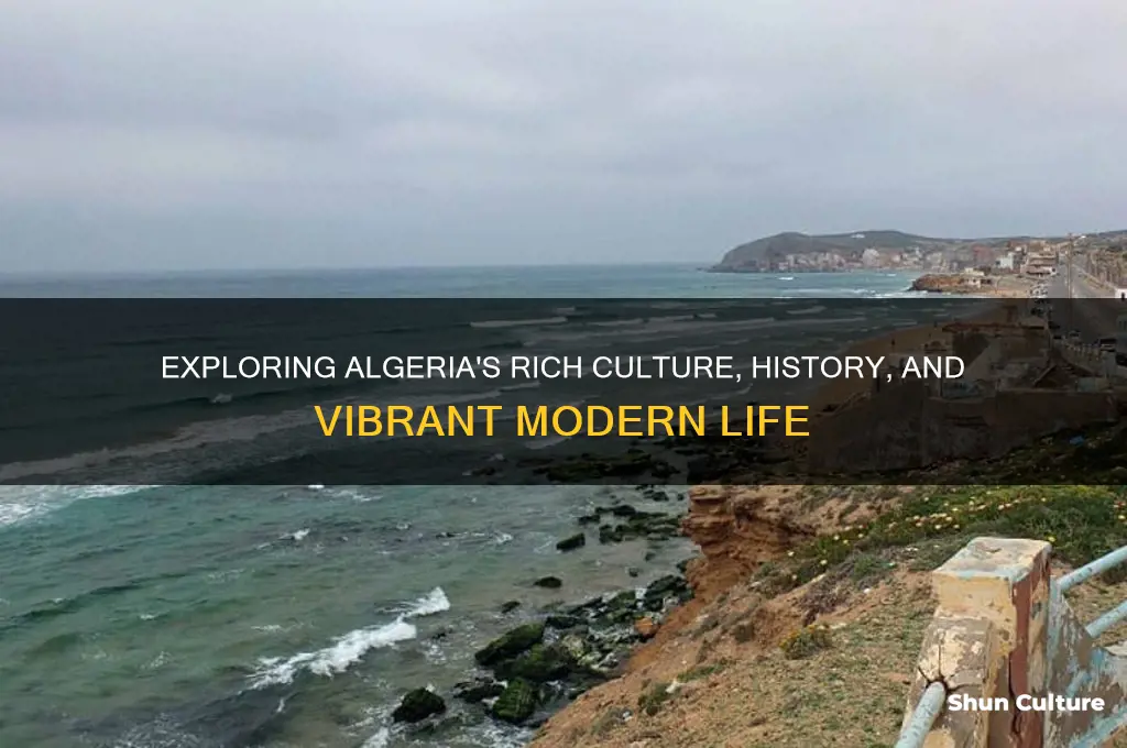 what do you know about algeria