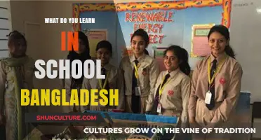 Exploring Bangladesh's Education System: Curriculum, Skills, and Cultural Insights