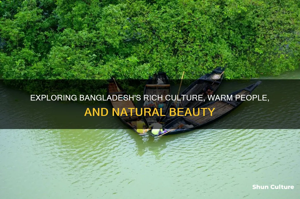 what do you like about bangladesh