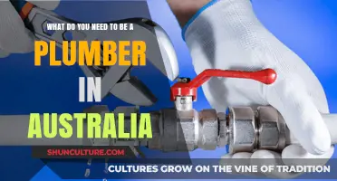Essential Skills and Qualifications to Become a Plumber in Australia