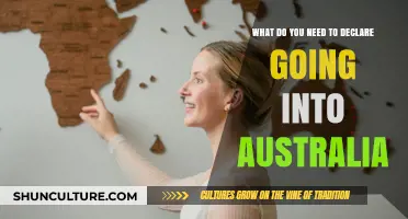 Essential Items to Declare When Entering Australia: A Traveler's Guide