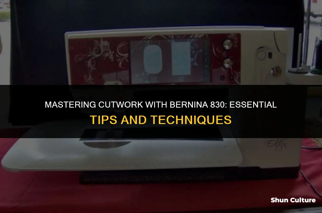 what do you need to do cutwork wth benina 830