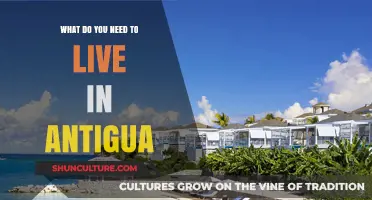Essential Guide: Living in Antigua – Requirements, Costs, and Tips