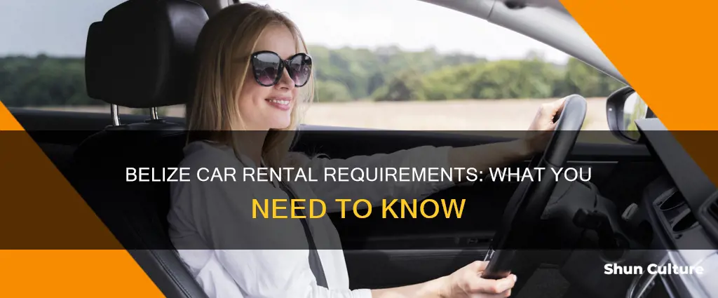 what do you need to rent a car in belize