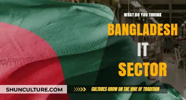 Bangladesh's IT Sector: Opportunities, Challenges, and Future Prospects