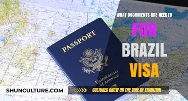 Essential Documents Required for Obtaining a Brazil Visa Application