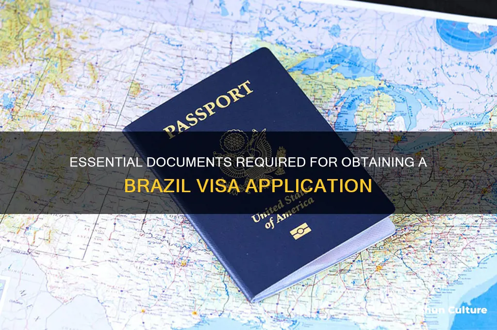 what documents are needed for brazil visa