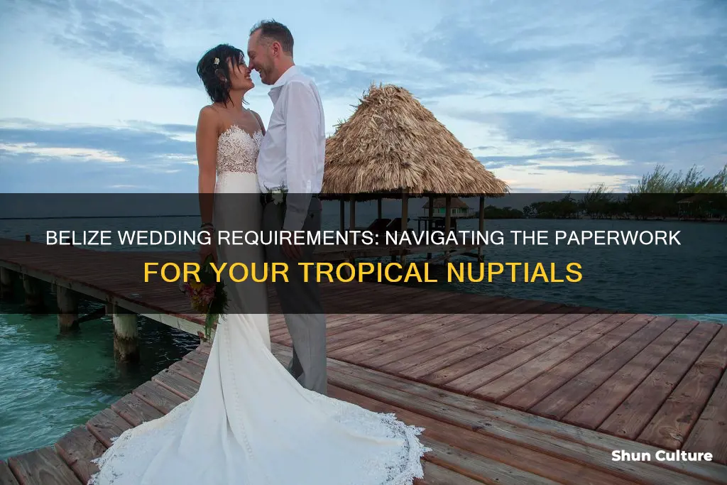 what documents are needed to marry in belize