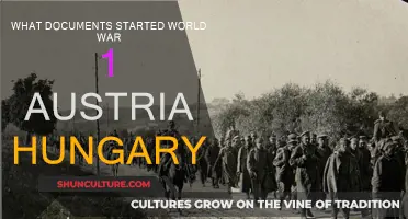 Austria-Hungary's Documents: Sparking World War I