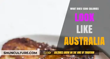 A Day of Eating at 1200 Calories: An Australian Perspective