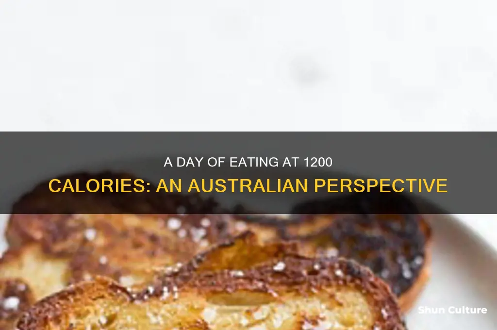 what does 1200 calories look like australia