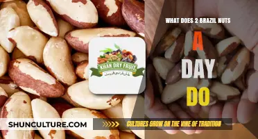 Brazil Nuts Daily: Unlocking Health Benefits with Just Two a Day