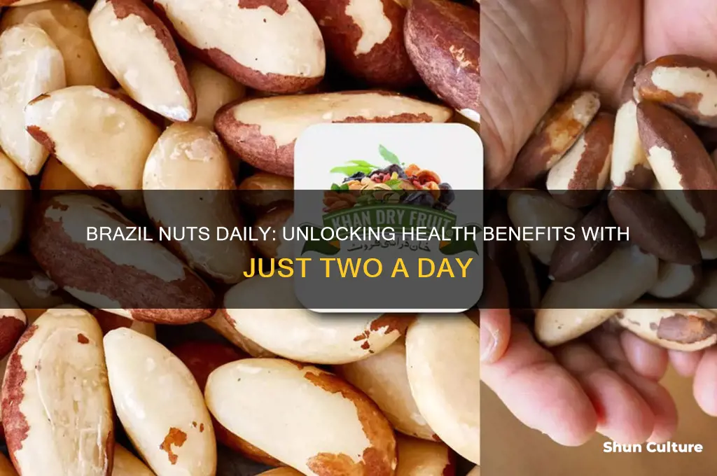 what does 2 brazil nuts a day do