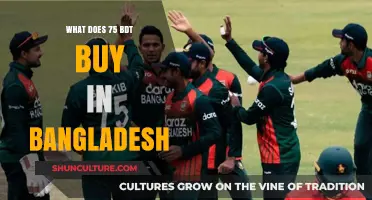 Exploring Bangladesh: What Can You Purchase with 75 BDT?