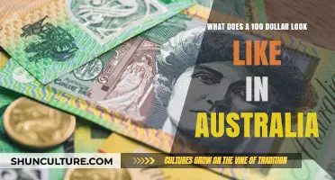 A Hundred Bucks in Australia: How Far Will it Get You?