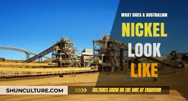 A Guide to Australian Nickels: Appearance and Features