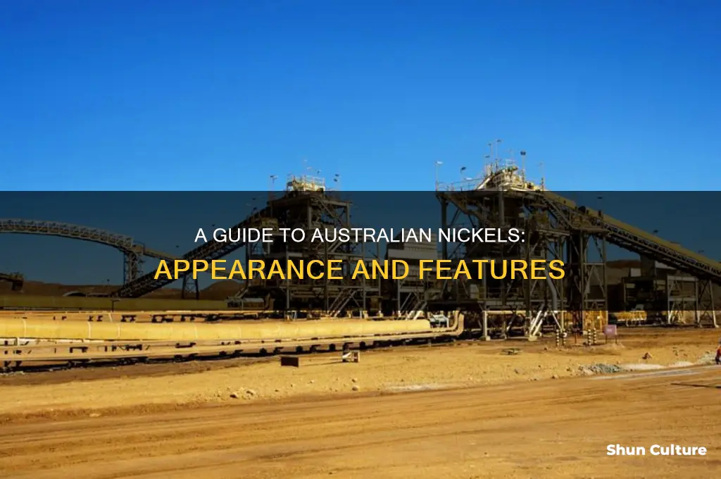 what does a australian nickel look like