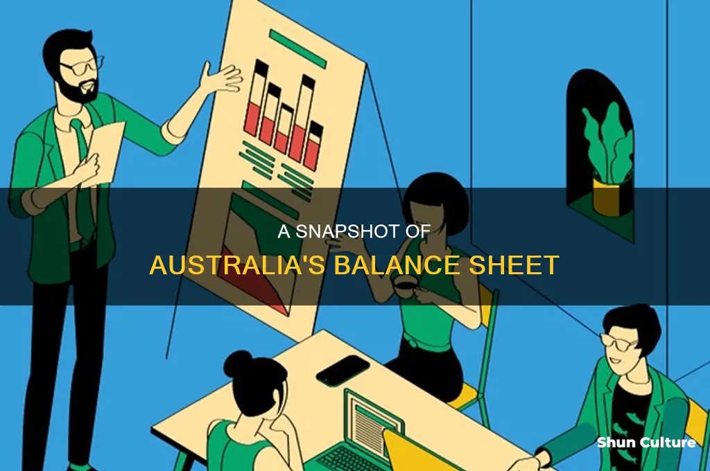 what does a balance sheet look like australia