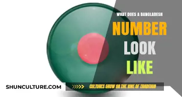 Understanding the Structure and Format of a Bangladesh Phone Number