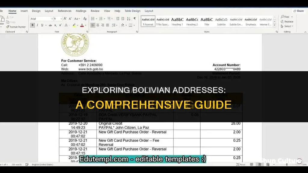 what does a bolivian address look like