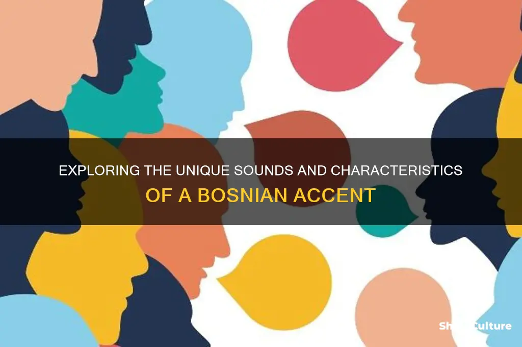 what does a bosnian accent sound like