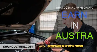 Mechanics' Earnings: Australia's Auto Industry