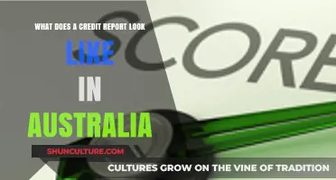 Understanding Your Australian Credit Report