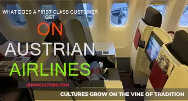 Austrian Airlines First Class: What's Included?