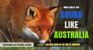 Fox Sounds in Australia: What Noises Do They Make?
