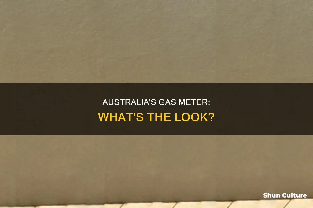 what does a gas meter look like australia