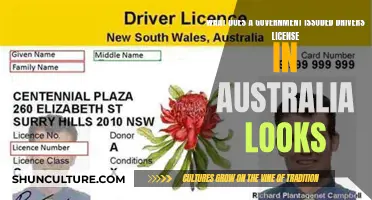 Australian Driver's License: A Government-Issued ID Overview