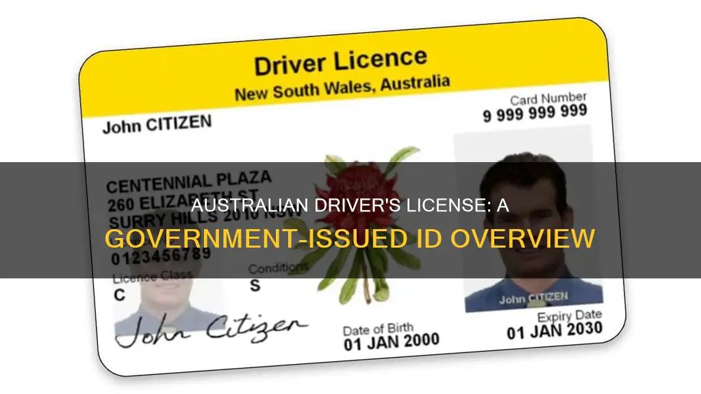 what does a government issuded drivers license in australia looks