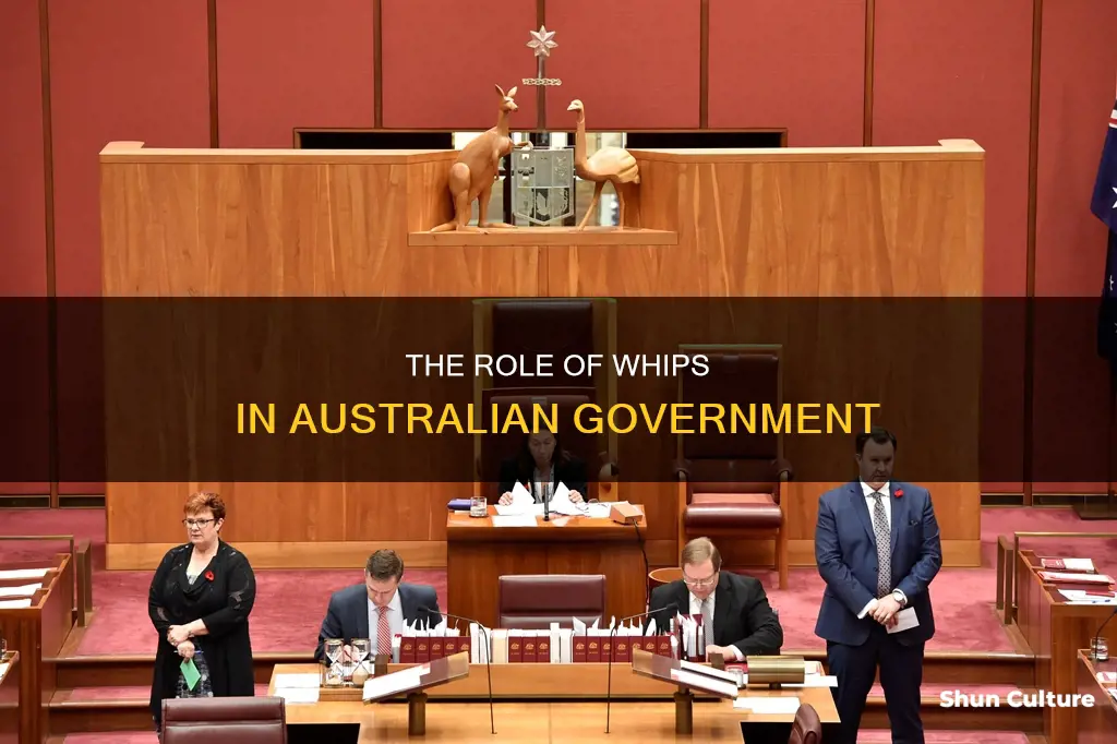 what does a government whip do in australia
