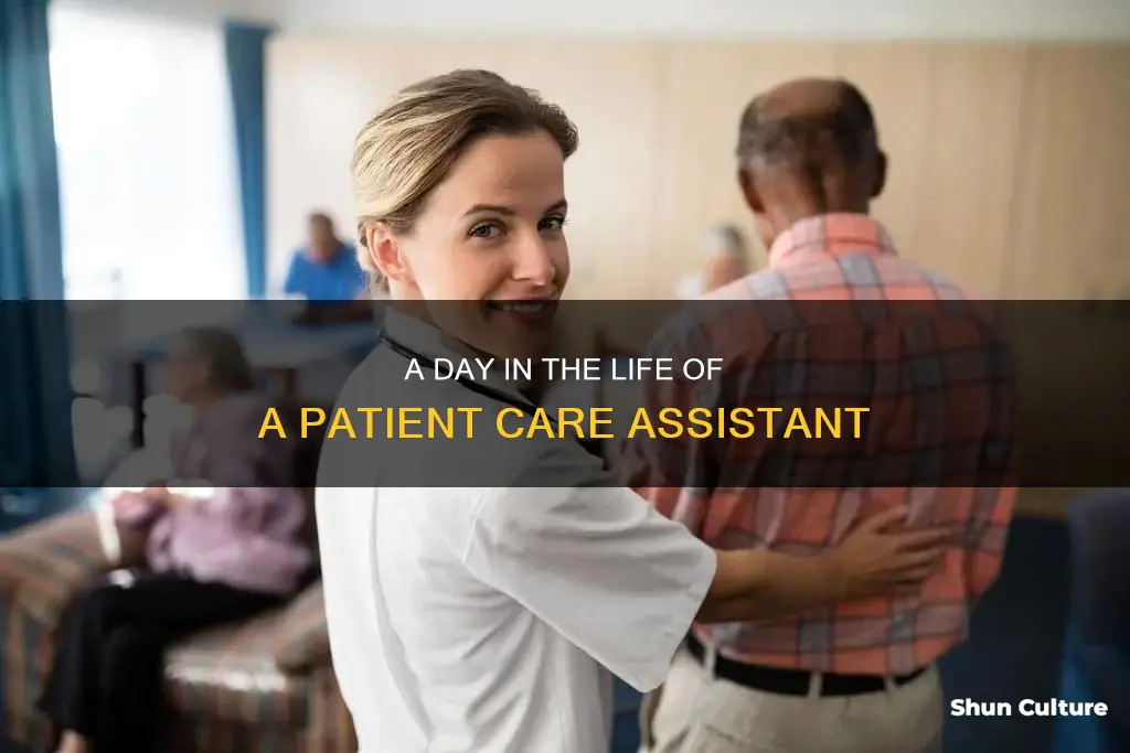 what does a patient care assistant do australia