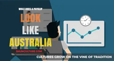 Understanding Your Australian Payslip: A Guide
