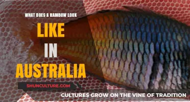 The Rainbow's Unique Australian Look