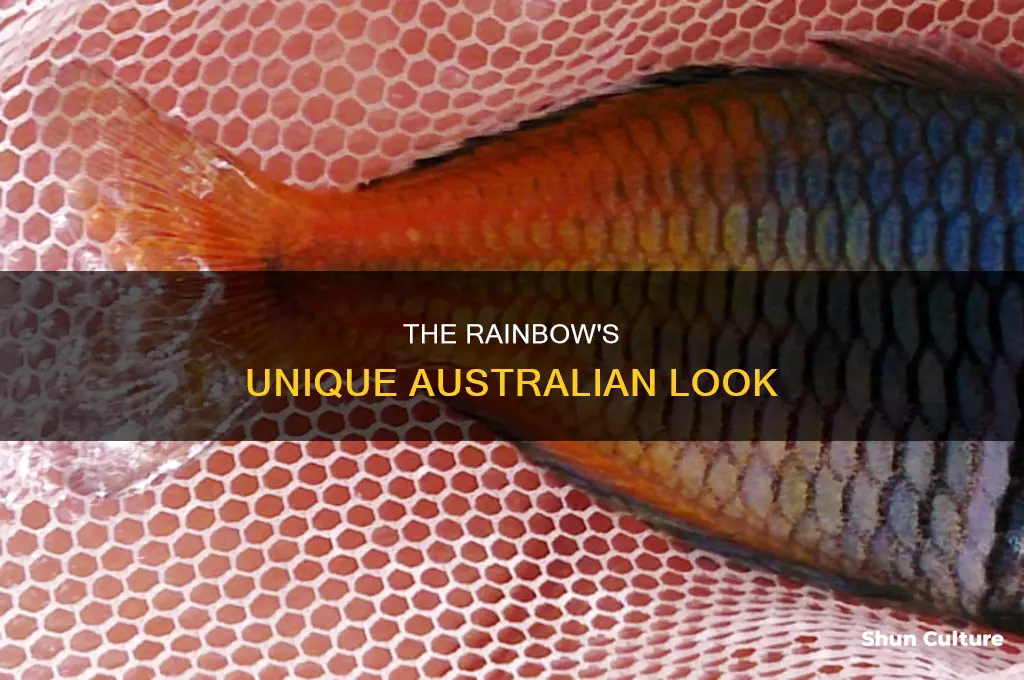 what does a rainbow look like in australia