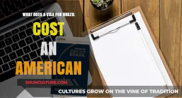 Brazil Visa Costs for Americans: Fees, Requirements, and Application Guide