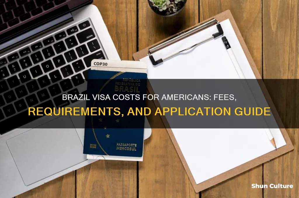 what does a visa for brazil cost an american