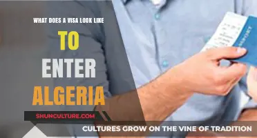 Understanding the Appearance of an Algerian Entry Visa: A Visual Guide