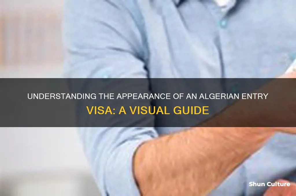 what does a visa look like to enter algeria