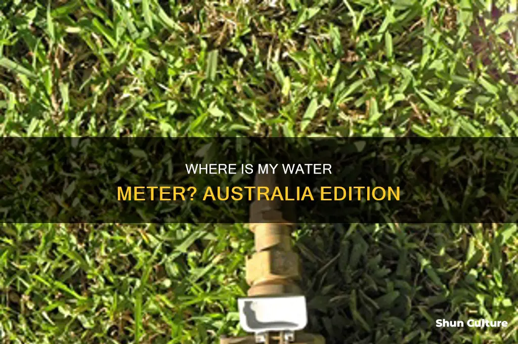 what does a water meter look like australia