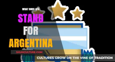 Exploring AFA: The Heart of Argentine Football Passion