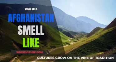 The Scents of Afghanistan: A Journey Through Smells