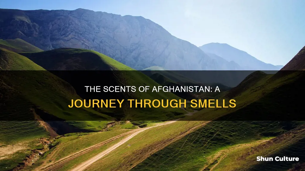 what does afghanistan smell like